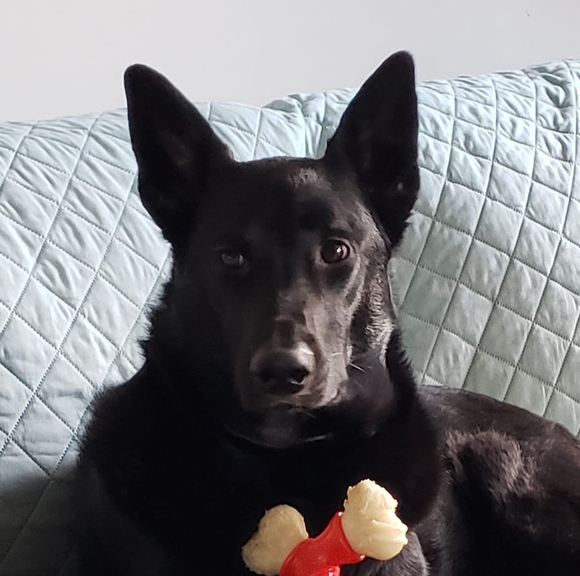 Profile Picture of Brian Caparella (@mrnailtek) on Poshmark