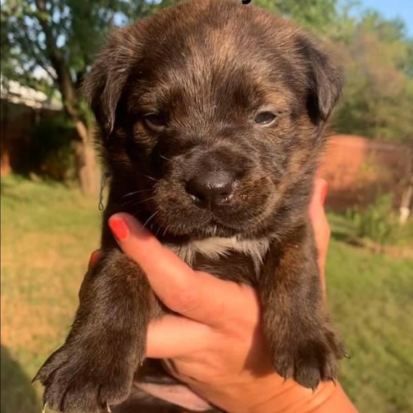 Quinn Baker - Poshmark Profile Picture of Quinn Baker (@jerseysshop) on Poshmark