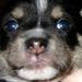 Profile Picture of Rick Foss (@rwfoss) on Pinterest