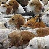 Phyllis Beers - Pinterest Profile Picture of Phyllis Beers (@phyllisbeers12) on Pinterest