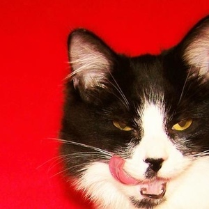 Profile Picture of Peter Magala (@171291428) on Myspace