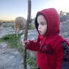 Profile Picture of ghadeer awad172 (@ghadeerawad1) on Tiktok