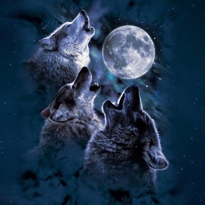 Profile Picture of Chris Lawrence (@ChrisPinder12) on Twitter