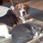 Profile Picture of Albert Bauer (@baueralbert) on Instagram