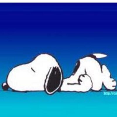 Profile Picture of Kailey Davis (@daviskailey32) on Twitter