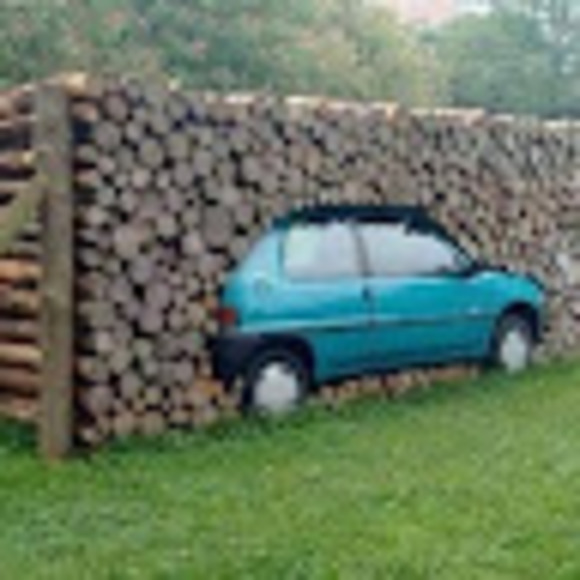 Profile Picture of Joel Roy (@lunaraves) on Poshmark