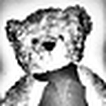 Profile Picture of Lucy Rogers (@LucyLuu1) on Flickr