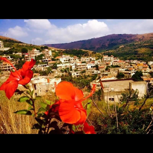 Profile Picture of Georgette Shetayh (@shetayh) on Poshmark