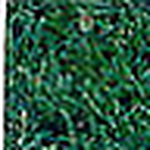 Profile Picture of Hue Dinh (@giadinhminh) on Flickr