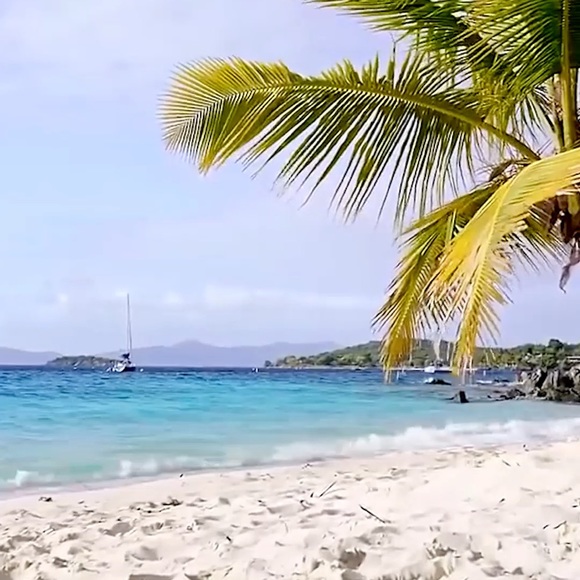 Profile Picture of Tara Duryea (@tdya) on Poshmark