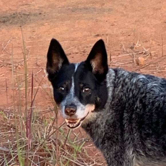 Profile Picture of Suki Suki (@sukisuki402) on Poshmark