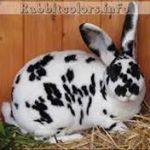 Profile Picture of Phyllis Drabish-Thomas (@drabishthomas) on Instagram