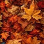 Profile Picture of Brianna Welden (@Brianna-Welden) on Facebook