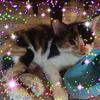 Profile Picture of Hope Johnson Thacker (@@hopejohnsonthacke) on Tiktok