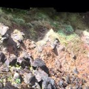 Profile Picture of Giselle Perez López (@giselleperezlopez5090) on Youtube