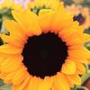 Profile Picture of Hazel Hagen (@@hazelhagen) on Tiktok