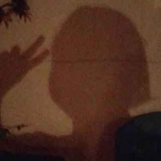 Profile Picture of alicetodaro (@alicetodaro) on Instagram