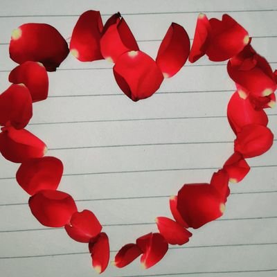 زمن فاطمہ سندھو( جانباز) - Twitter Profile Picture of زمن فاطمہ سندھو( جانباز) (@ZamanFatima4) on Twitter