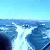 Profile Picture of Steve Tierney (@seattletierney73) on Youtube