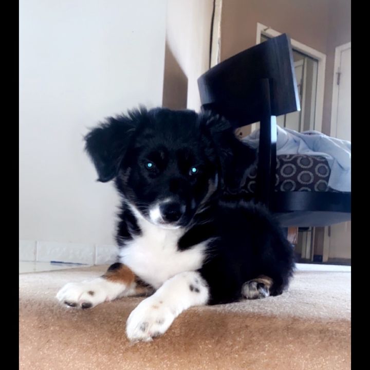 Profile Picture of Connor Massey (@connormassey99) on Tiktok