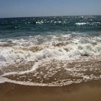 Profile Picture of Gabriella Steele (@gabriella-steele-1) on Quora