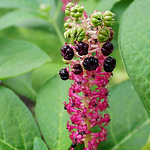 Profile Picture of Alexander Stromilo (@o_r_a_c_l_e) on Flickr