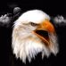 Profile Picture of Danny Peltier (@danny.peltier.73) on Facebook
