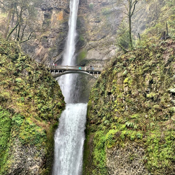 Profile Picture of Lubna Khaleeli (@lubnakhaleeli) on Poshmark