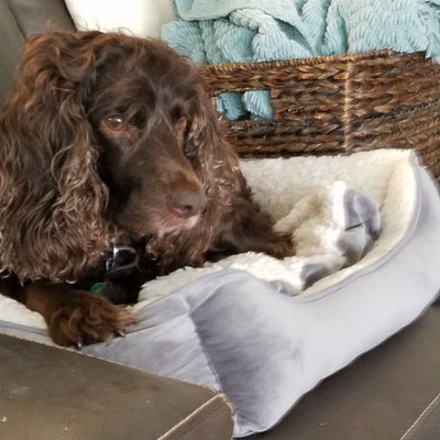 Ginger Shaffer - Twitter Profile Picture of Ginger Shaffer (@GingerS0919) on Twitter