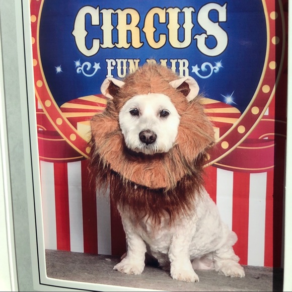 Marcella Avanzato - Poshmark Profile Picture of Marcella Avanzato (@mjavanza) on Poshmark