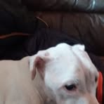 George Whitmarsh - Facebook Profile Picture of George Whitmarsh (@george.whitmarsh.5) on Facebook