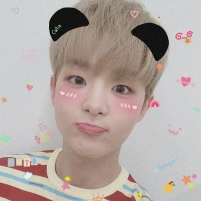 Profile Picture of ◖ Choi Nopi || Agaknya Hiatus (@jihoon1140) on Twitter