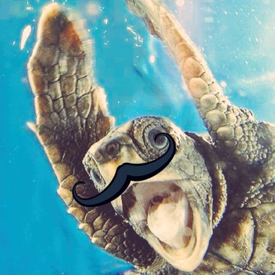 Profile Picture of Kenneth Mcallister (@KennethMcalli24) on Twitter