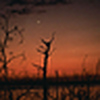 Profile Picture of Bob Moody (@meteoritophile1920) on Flickr