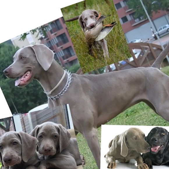 Profile Picture of Luke John (@lukejohnson_08) on Poshmark