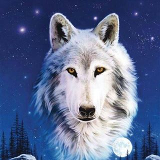 Profile Picture of Daniel Traxler (@Daniel-Traxler) on Facebook