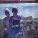 Profile Picture of Brenda Pease (@brenda.pease) on Instagram