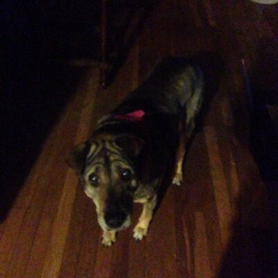 Profile Picture of Javier Roman (@javierroman3711) on Twitter