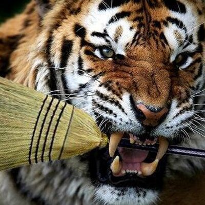 Mike Orcutt - Twitter Profile Picture of Mike Orcutt (@orcman43) on Twitter