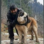 Profile Picture of Ananda Krishnan (@anandakrishnanms) on Instagram