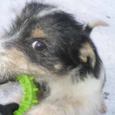Profile Picture of Jolanta Mazurek (@JoJo12la) on Twitter