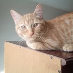 Profile Picture of Nancy Carol Maves (@Nancy-Carol-Maves) on Facebook