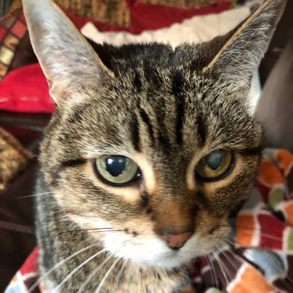 Maria Housley - Poshmark Profile Picture of Maria Housley (@mrhousley98) on Poshmark