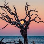 Profile Picture of Thomas Walker (@tomerthy) on Instagram