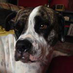 Profile Picture of Cecilia Grimm (@cecisnoot) on Instagram