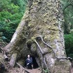 Profile Picture of Emily Fritz (@fritziedog) on Instagram