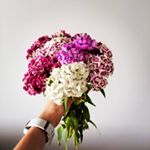 Profile Picture of Ewelina (@eva_wozniak_) on Instagram