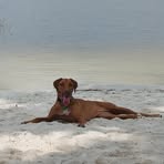 Tara Burton - Facebook Profile Picture of Tara Burton (@Tara-Burton) on Facebook