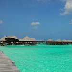 Profile Picture of Bianca Lloyd (@biancablloyd) on Instagram