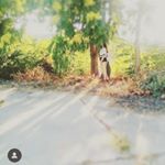 Profile Picture of olimpia escabias jimenez (@olimpiaescabias) on Instagram